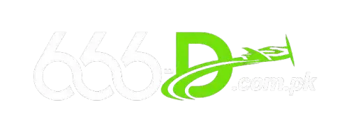 66D Game